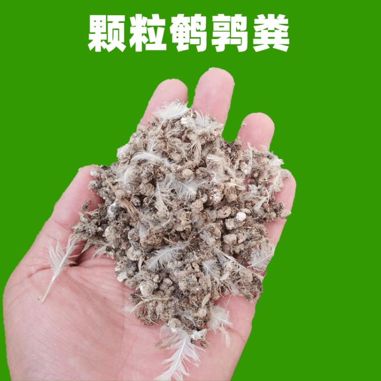 廠家直銷鵪鶉糞顆粒 曬干塊狀鵪鶉糞 鵪鶉糞有機肥河北地區批發