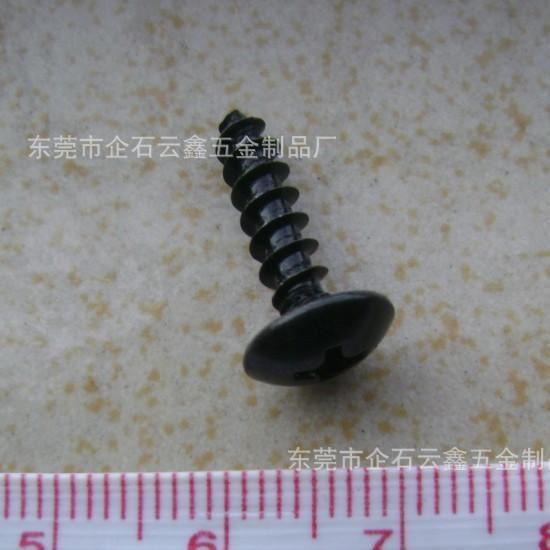 廠家直銷緊固件大扁頭十字快牙自攻螺釘TA416少量現(xiàn)貨價(jià)格優(yōu)