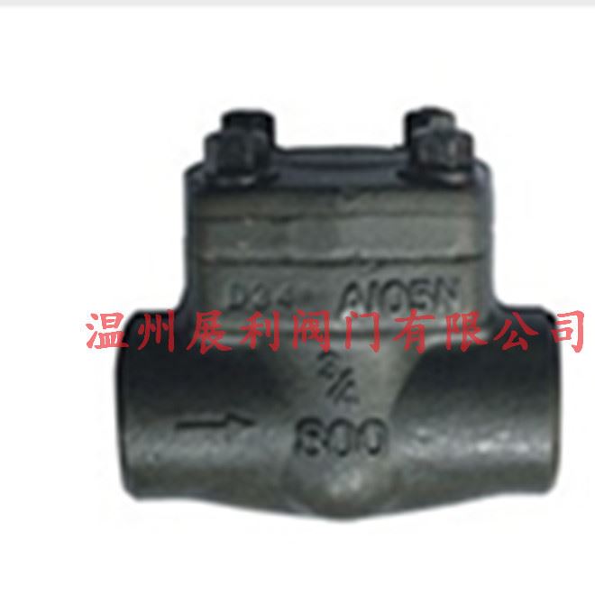 溫州閥門 DN15-50 150LB-2500  鍛鋼止回閥API.DIN.GB