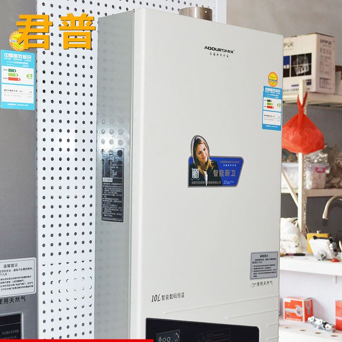 燃氣熱水器  立式 微電腦智能 煙道式  恒溫持久性能好