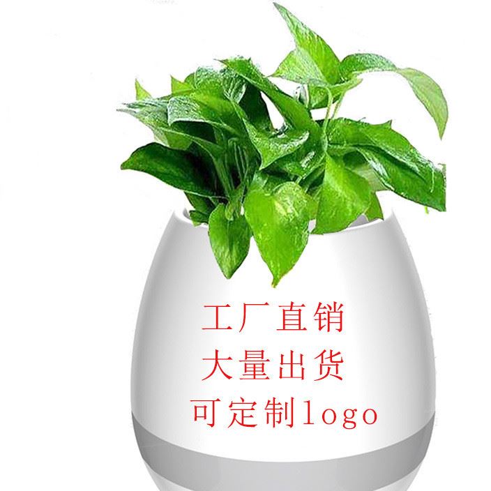 智能音樂(lè)花盆觸碰感應(yīng)創(chuàng)意禮品室內(nèi)綠色植物音樂(lè)盆栽無(wú)線藍(lán)牙音響