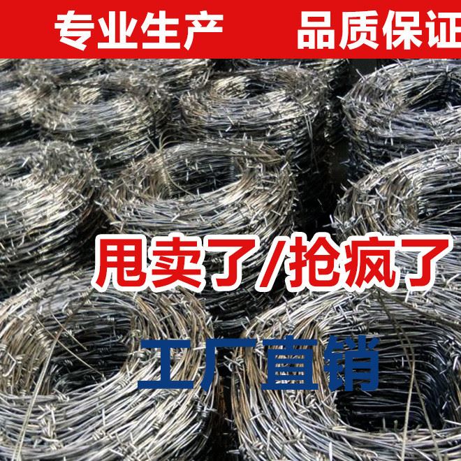 廠家定做直銷鐵絲網帶刺 鐵刺線 鍍鋅帶刺鋼絲 刺絲