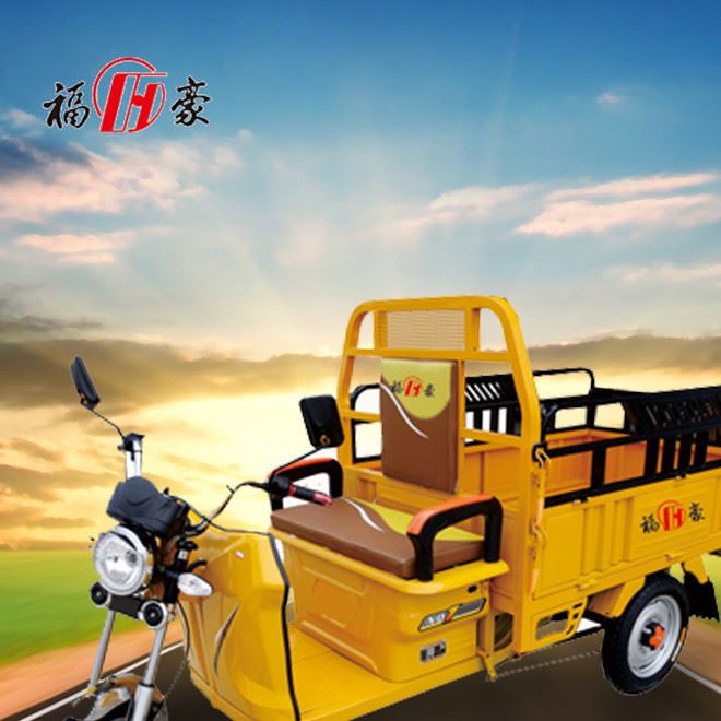 廠家直銷電動三輪車 農用貨運三輪車 載重快遞三輪車 品質
