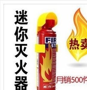 小号迷你灭火器 干粉灭火器 汽车必备 带保护盖