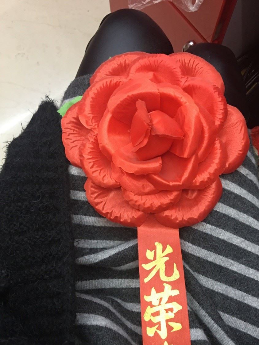 绢布光荣花牡丹光荣花直径约19一20cm