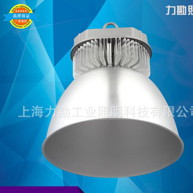 深照型工廠燈 工廠車間照明用燈 高亮LED燈 100w工礦燈led