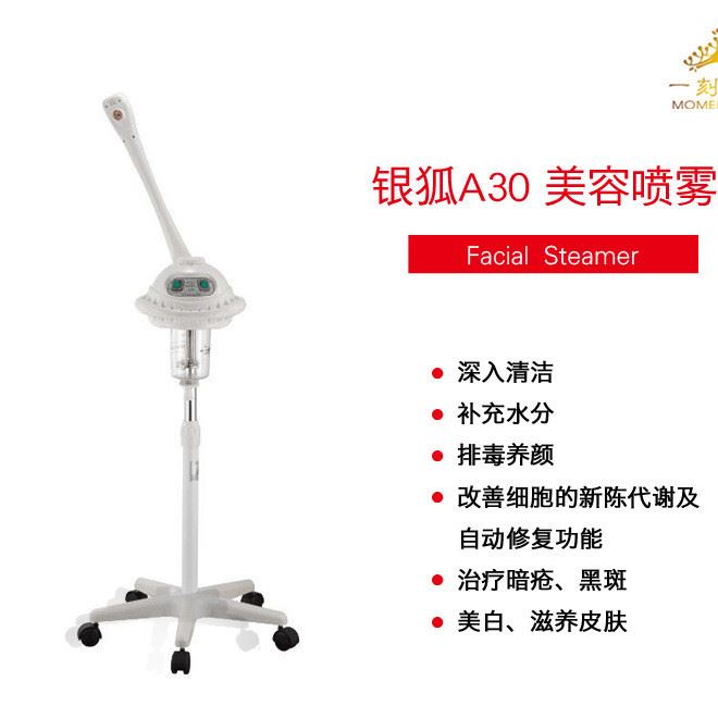 銀狐A30中草藥離子熱噴噴霧機(jī) 經(jīng)典愛心 美容儀器