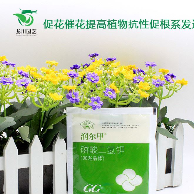 國光潤爾甲  綠化苗木花卉綠植果樹蔬菜沖施水溶葉面肥