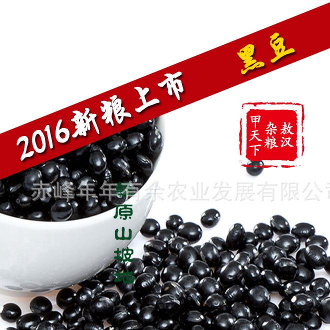 新貨內蒙古黑豆 綠芯大黑豆農家自產五谷豆?jié){450g批發(fā)