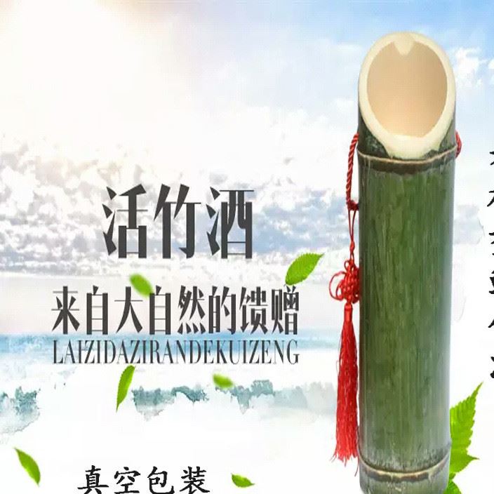 原生態(tài)活竹酒廠家直銷(xiāo)客家特產(chǎn)鮮竹酒活竹酒批發(fā)竹子酒招代理代發(fā)