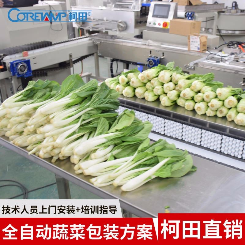 柯田KT-600X蔬菜自動枕式包裝機 全伺服氣調(diào)葉菜包裝機 廠家直銷