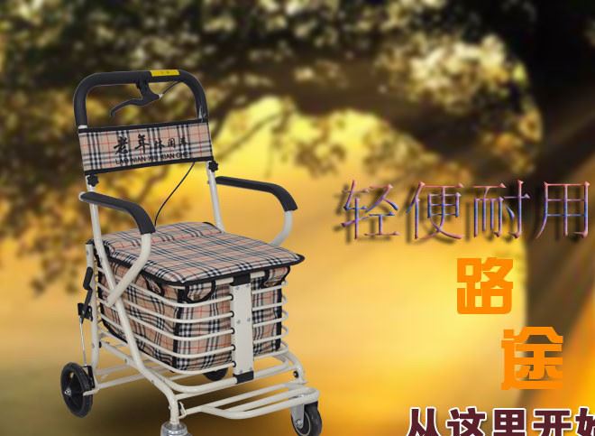 老年購(gòu)物車(chē)?yán)先耸滞栖?chē)可坐折疊車(chē)購(gòu)物爬樓買(mǎi)菜助行代步車(chē)