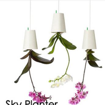 Sky planter天空花園后現(xiàn)代天空播種機(jī)倒置花盆花器吊蘭盆