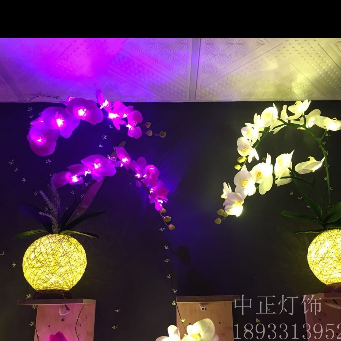 兩枝蝴蝶蘭花朵燈鮮花燈LED花燈塑膠花燈塑料花燈