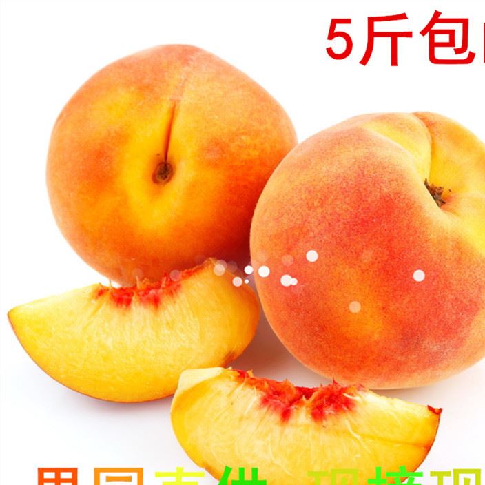 農(nóng)家特產(chǎn)套袋甜黃桃預(yù)售新鮮水果水蜜桃罐頭毛桃現(xiàn)摘現(xiàn)發(fā)包郵零食