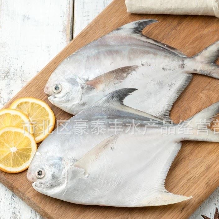 野生海捕鯧魚 產(chǎn)地新鮮直供鯧魚 冷凍海魚小鯧魚 批發(fā)供應(yīng)