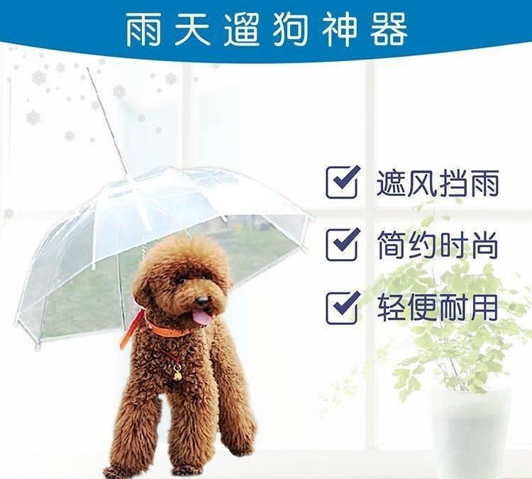 雨傘供應(yīng) PVC透明傘 寵物狗狗傘 環(huán)保傘 量大從優(yōu)