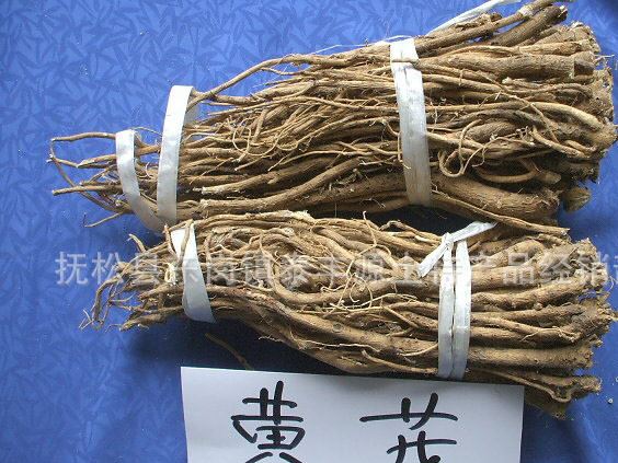 長白山野生黃芪  東北野生黃芪  大貨