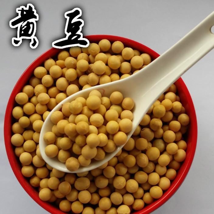 新農家自種小黃豆大黃豆打豆漿專用450g非轉基因大豆