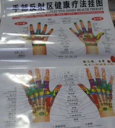 手部反射區健康療法掛圖