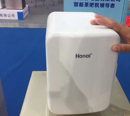 工廠新開發車載小冰箱/迷你便攜式小冰柜可存放食品奶昔