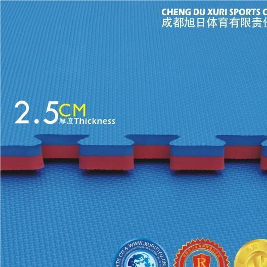 跆拳道墊子 跆拳道道墊 2.5cm 內銷一等品