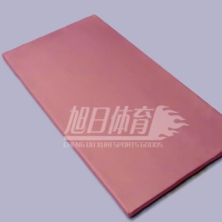 健身專用健身墊子 健美操墊子 親子園運動地墊