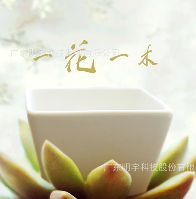 明宇迷你多肉陶瓷桌面斜邊四方型zakka盆栽花盆工廠直供批發(fā)