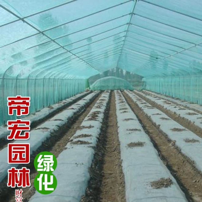 加厚大棚塑料膜 温室大棚塑料薄膜 厂家直销塑料薄膜规格