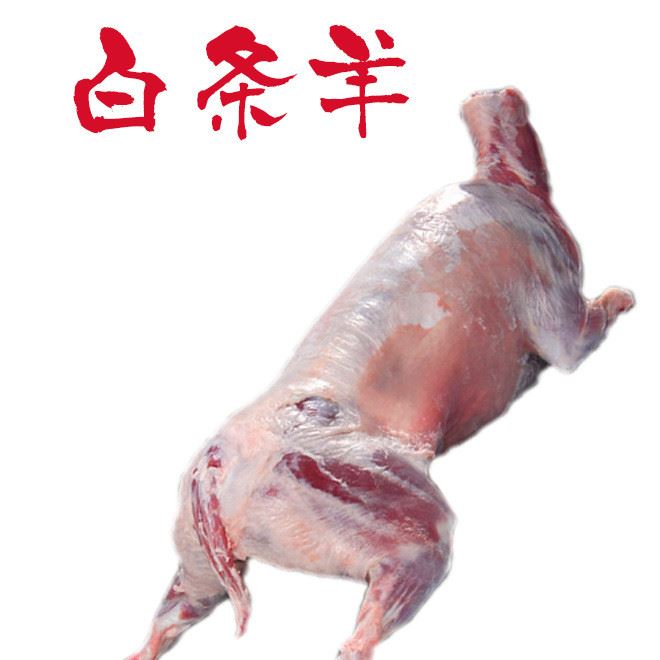 烤全羊食材 內(nèi)蒙古散養(yǎng)羔羊白條 整只新鮮羊肉 生羊腿羊排白條羊