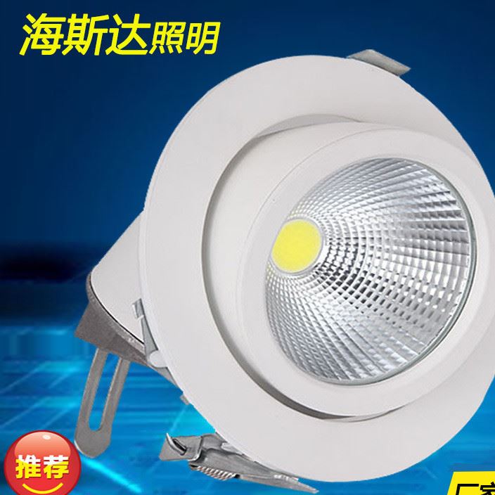 LED象鼻灯服装店COB天花灯射灯5W10W20W30W嵌入式筒灯厂家直销