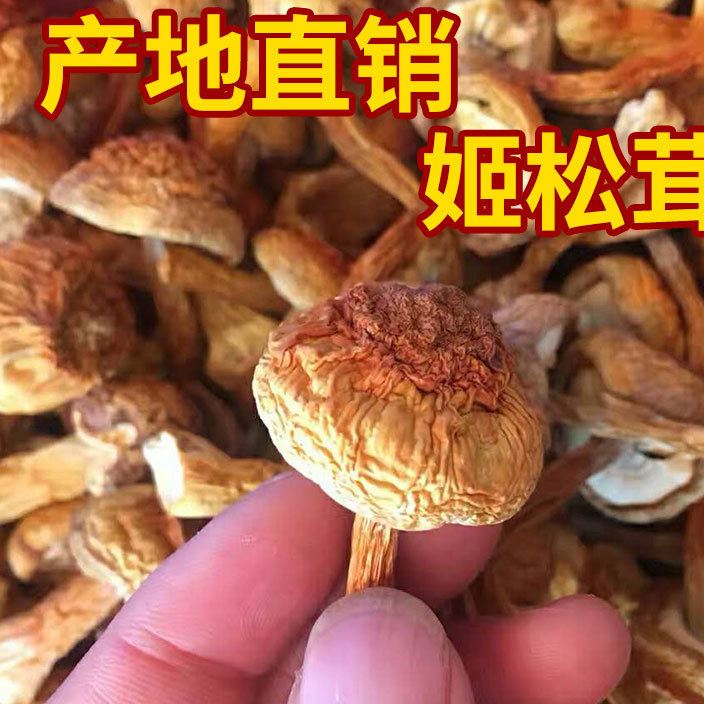 云南野生姬松茸干貨 2017年新貨巴西菇 食用野生菌香菇500克散裝