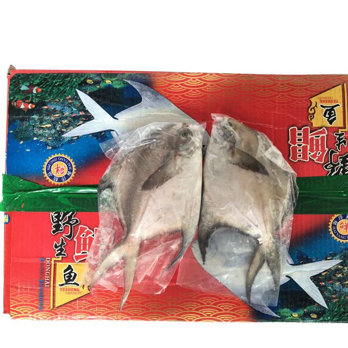 北京新鮮野生鯧魚片 平魚鮮海捕大鯧魚白鯧平魚 老人寶寶食用海鮮