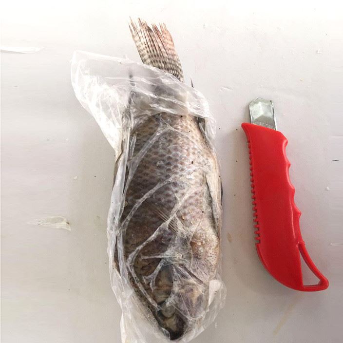 經(jīng)銷批發(fā)水產(chǎn)海魚新鮮黃花魚 新鮮活凍鮮魚5kg/箱 寶寶輔食料理