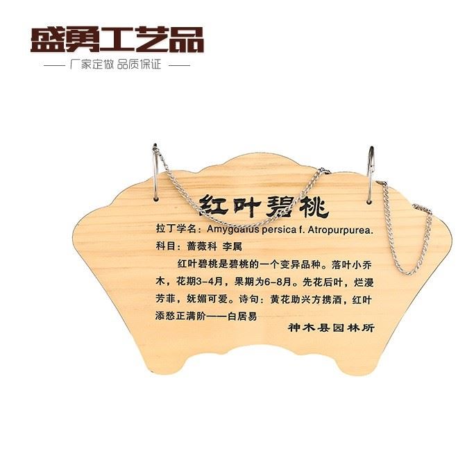 廠家直銷 花草樹(shù)木牌 新西蘭松木花樹(shù)簡(jiǎn)介牌 品質(zhì) 可加工定制