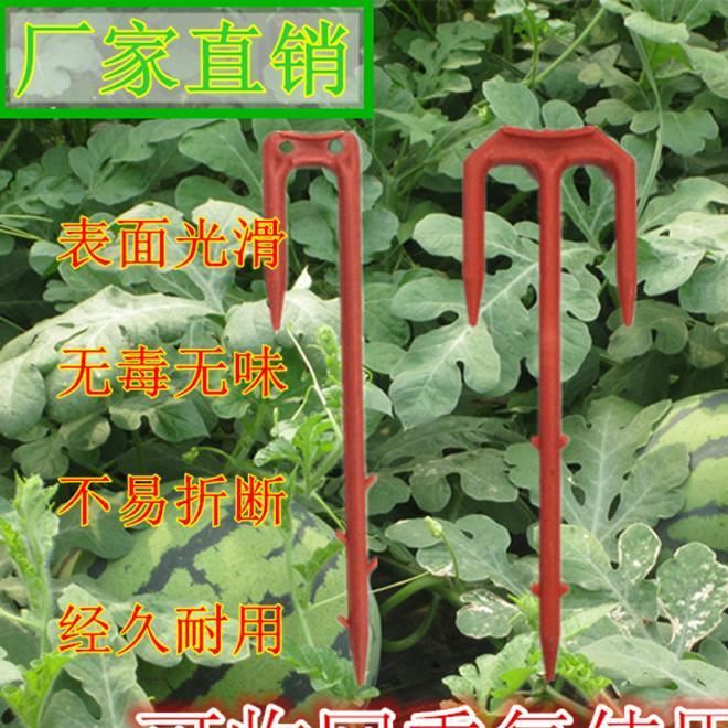 久久沃隆雙叉西瓜壓蔓器 植物壓蔓器 壓蔓卡固定卡 雙叉