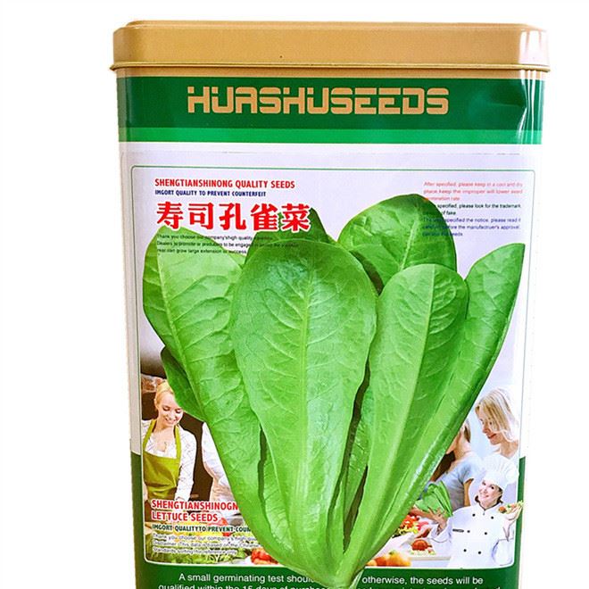 现代农业牌汉斯沙拉生菜特色保健菜种子特色生菜种子批发零售