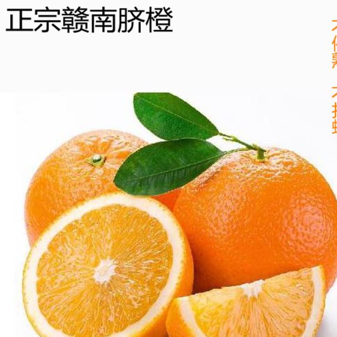 贛南臍橙安遠(yuǎn)臍橙鏟地直供59元10斤精品果 臍橙現(xiàn)摘現(xiàn)發(fā)