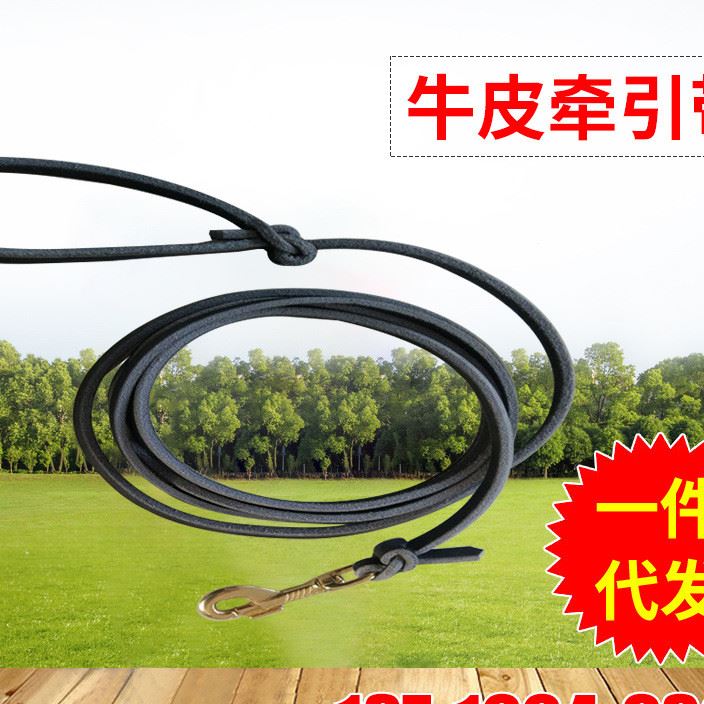 中大型犬德牧牽引繩 牛皮牽引帶 狗胸背帶 金毛薩摩耶狗鏈犬用品