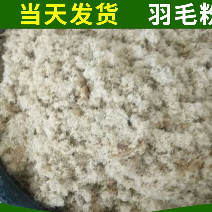 羽毛粉大量供應(yīng)  羽毛粉加工銷售  歡迎采購