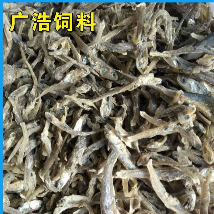 廠家直銷 飼料魚干  批發(fā)零售   烘干魷光魚   歡迎訂購