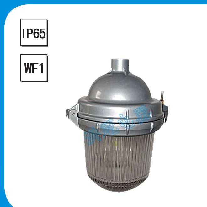 NFC9112防眩泛光燈  100w防眩應(yīng)急泛光燈  熱電廠防眩三防燈