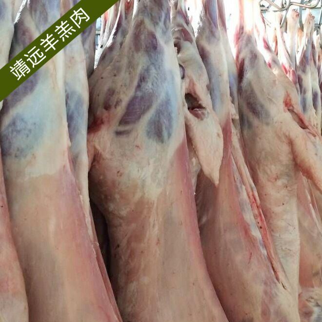 新鮮羊肉 甘肅新鮮羊肉 新鮮整羊 羊羔肉 羊肉 白條羊肉 鮮羊肉