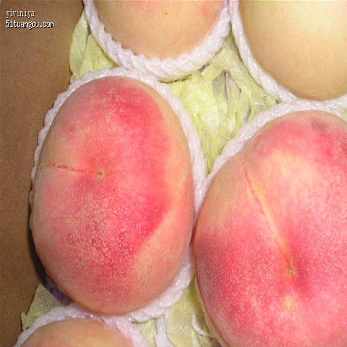 基地直銷上海水蜜桃  現(xiàn)貨批發(fā) 新鮮直達 口感 酸甜可口