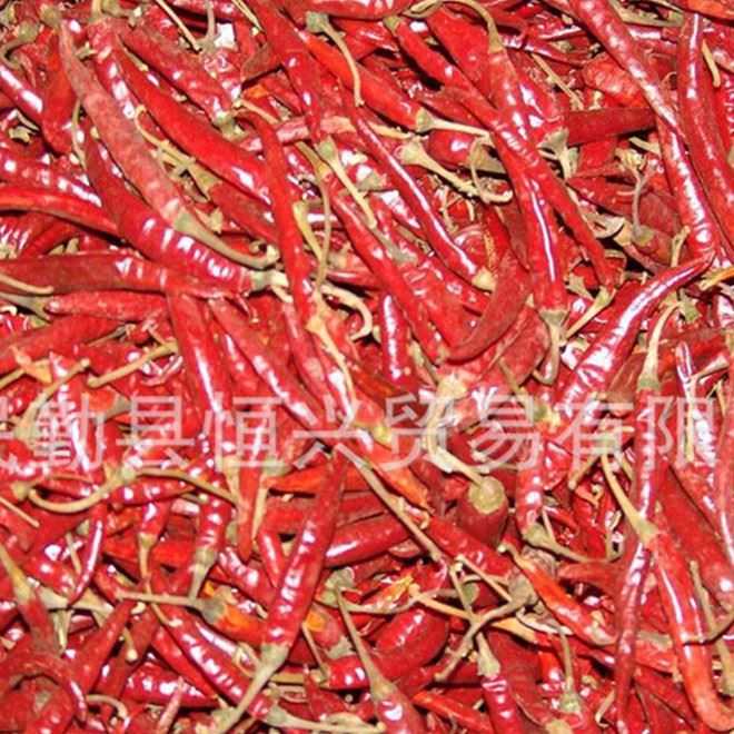 h廠家直銷(xiāo) 供應(yīng)  辣椒 美國(guó)紅辣椒Red pepper干辣椒