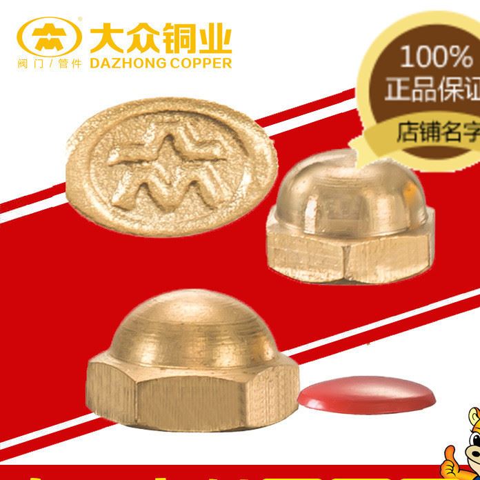 大眾銅業(yè)大眾節(jié)能減排 銅螺帽 螺母 六角燃?xì)忏~帽專用燃?xì)夤芗?