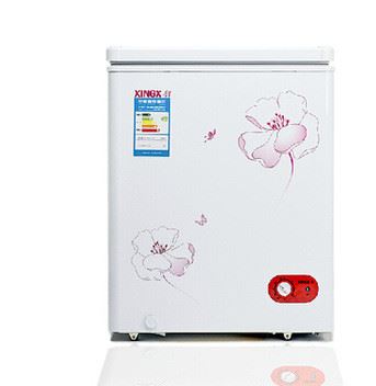 XINGX/星星 BD/BC-100J家用商用小冷柜單溫臥式冷藏冷凍冰柜