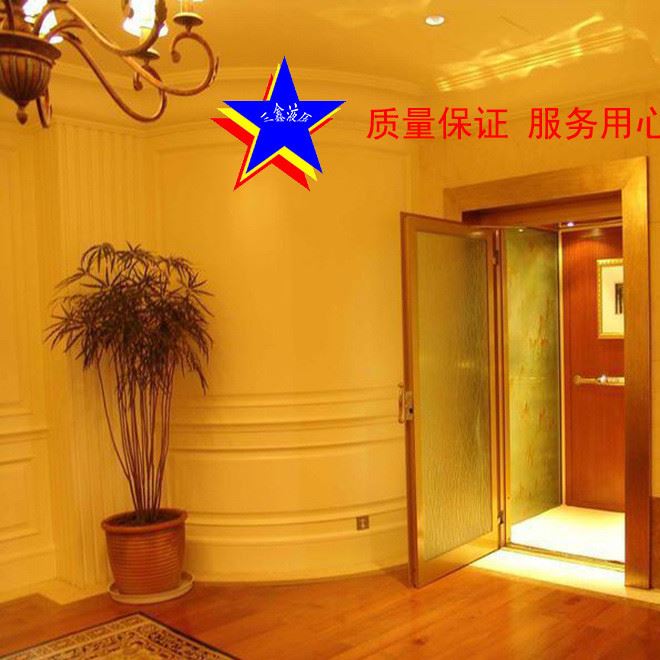 定制老年殘疾人簡易小型觀光別墅家用電梯液壓升降機平臺