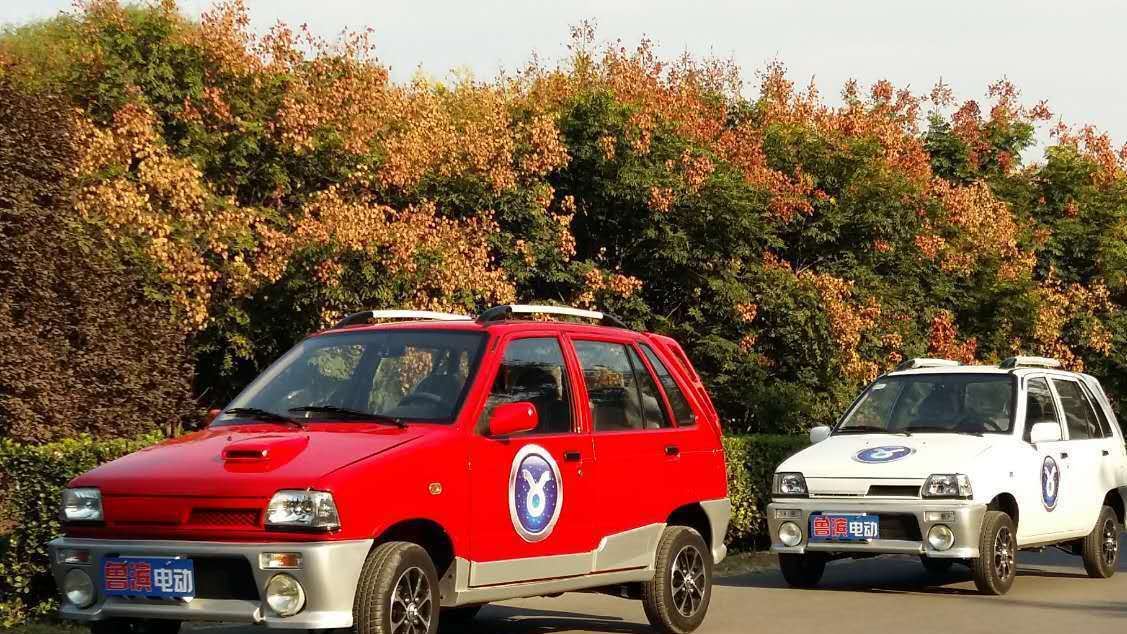 全封閉家用電動(dòng)四輪車 魯濱電動(dòng)汽車 新能源電動(dòng)汽車廠家招商