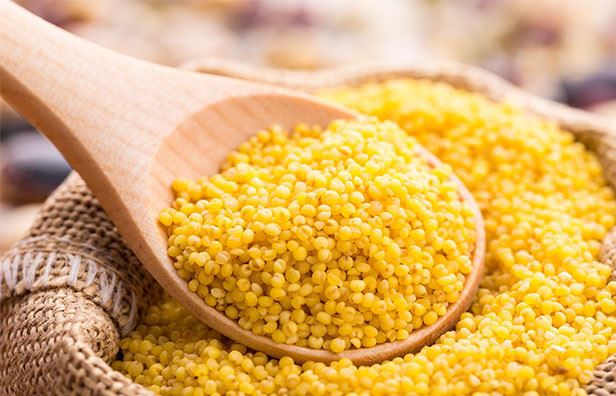 批发五谷杂粮大黄米小黄米黄米谷子米粘黄米黄黏米